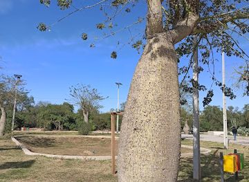 paraguay/gran-chaco/attraction/centro-de-interpretacion-del-gran-chaco-americano