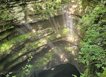 alabama/coastal-plain/attraction/neversink-cave-preserve