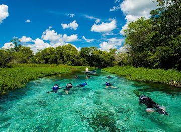 brazil/bonito/attraction/barra-do-sucuri