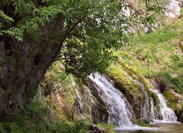 romania/buila-vanturarita-national-park/attraction/cascada-manastirea-pahomie