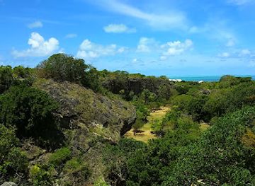 mauritius/savanne/attraction/caverne-patate