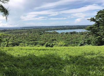 vanuatu/malampa-province/attraction/santo-friendly-tours