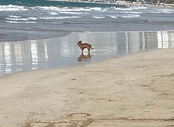 puerto-rico/carolina/attraction/beginners-beach-gentle-surf