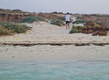 saudi-arabia/farasan-islands/attraction/square-island