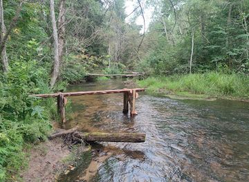 latvia/teici-nature-reserve/attraction/vienkocu-parks