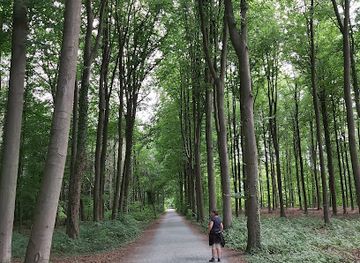 belgium/walloon-brabant/attraction/heverleebos