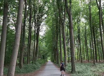 Heverleebos