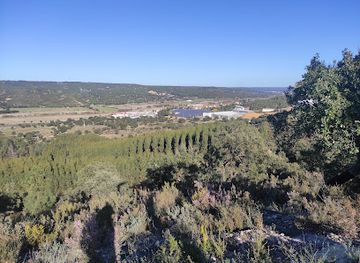 portugal/ribatejo/attraction/ulme-baloico-do-pineu