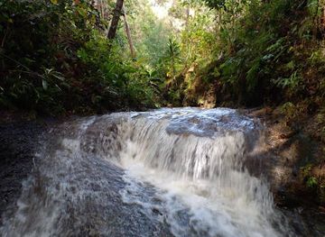 papua-new-guinea/mount-wilhelm/attraction/dikasuna-nature-conservation-park