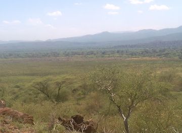 kenya/lake-bogoria/attraction/kutwee-papyrus-reeds-swamp