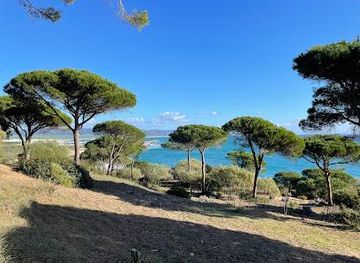 morocco/tangier/attraction/la-brena-y-marismas-del-barbate-natural-park