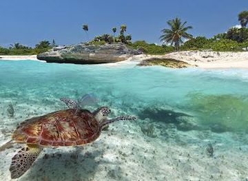 mexico/playa-del-carmen/attraction/akumal