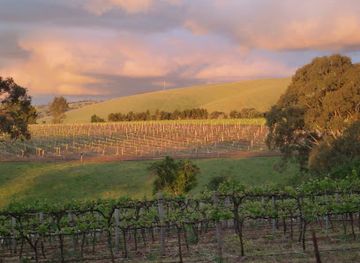 australia/barossa-valley/attraction/liebichwein