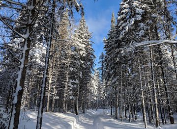 canada/northern-ontario/attraction/north-ridge-ranch