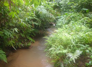 bangladesh/ratargul-swamp-forest/attraction/khadimnagar-national-park