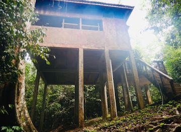 malaysia/taman-negara-national-park/attraction/bumbun-tabing