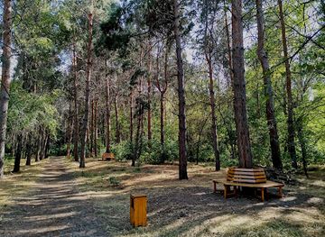 kyrgyzstan/jalal-abad-region/attraction/kara-jygach-park