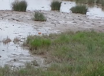 spain/mallorca/attraction/bird-view