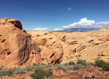 nevada/valley-of-fire-state-park/attraction/petroglyph-canyon-trail