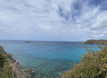 british-virgin-islands/road-town/attraction/saltpond-bay