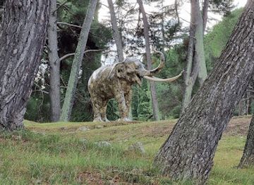croatia/pula/attraction/elephant-sculpture-np-brijuni