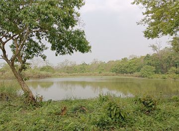 india/kaziranga-national-park/attraction/bagori-elephant-ride-point