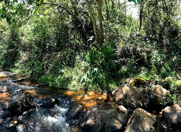 paraguay/ybycui-national-park/attraction/puente-de-acahay-acahay-paraguari
