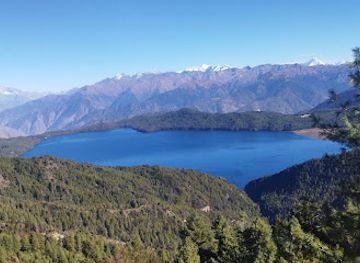 nepal/rara-lake/attraction/rara-jungle