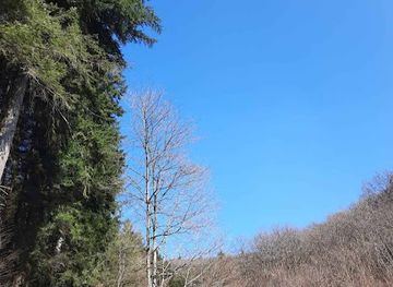 luxembourg/our-valley/attraction/via-botanica