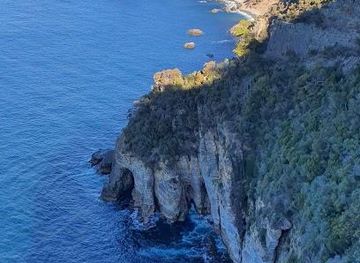 australia/tasman-peninsula/attraction/waterfall-bluff-lookout