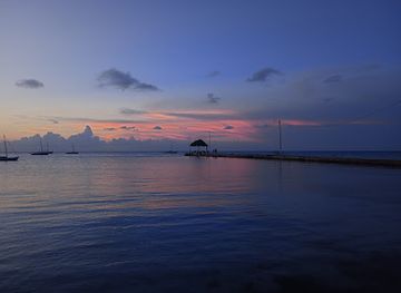 belize/corozal-district/attraction/almendro-park