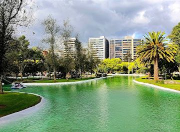 ecuador/quito/la-carolina/attraction/laguna-del-parque-la-carolina