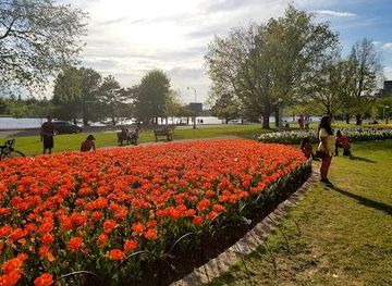canada/ottawa/attraction/dows-lake-pavilion
