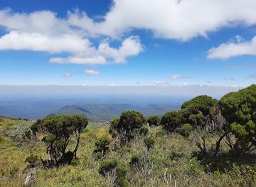 kenya/kilimanjaro-region/attraction/elephant-hill