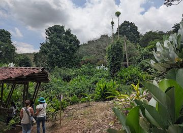 colombia/cauca-valley/attraction/las-heliconias-national-park