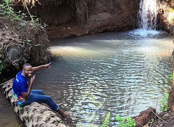 tanzania/kilimanjaro-region/attraction/rau-forest-reserve