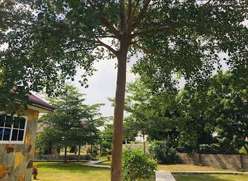 ghana/kokrobite/attraction/darling-land-lodge-and-gardens