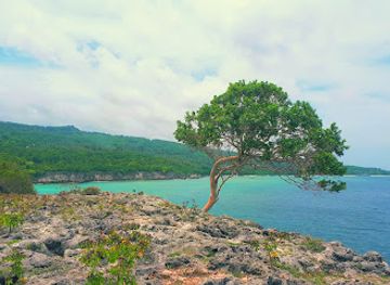 timor-leste/jaco-island/attraction/airleu-beach