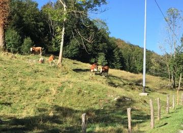 italy/friuli-venezia-giulia/attraction/val-tochel