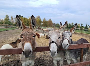 latvia/pape-nature-reserve/attraction/mini-zoo-atomi-pie-liepajas