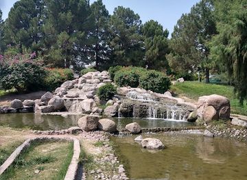 mexico/laguna-region/attraction/fundadores-park