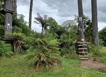 new-zealand/bay-of-plenty/attraction/adrenalin-forest-bay-of-plenty