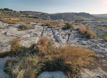 malta/northern-region/attraction/cart-ruts-birguma