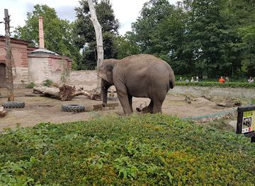 poland/wroclaw/srodmiescie/attraction/zoo-wroclaw