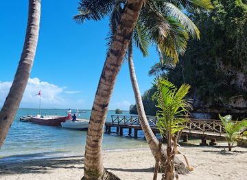 dominican-republic/las-terrenas/attraction/flora-tours-excursions-nature-las-terrenas