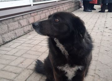 ukraine/sumy-region/attraction/Dvor-Alberta