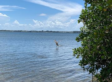 florida/ft-pierce/attraction/bear-point-sanctuary