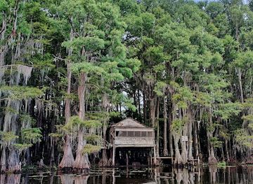 louisiana/caddo-lake-state-park/attraction/mossy-brake-camp-caddo-lake-swamp-tours