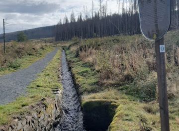 germany/harz-national-park/attraction/silberbrunnen
