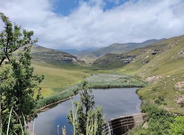 south-africa/golden-gate-highlands-national-park/attraction/blesbok-loop